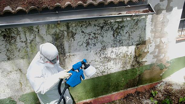 Mold Remediation service in Lexington, Lexington, VA